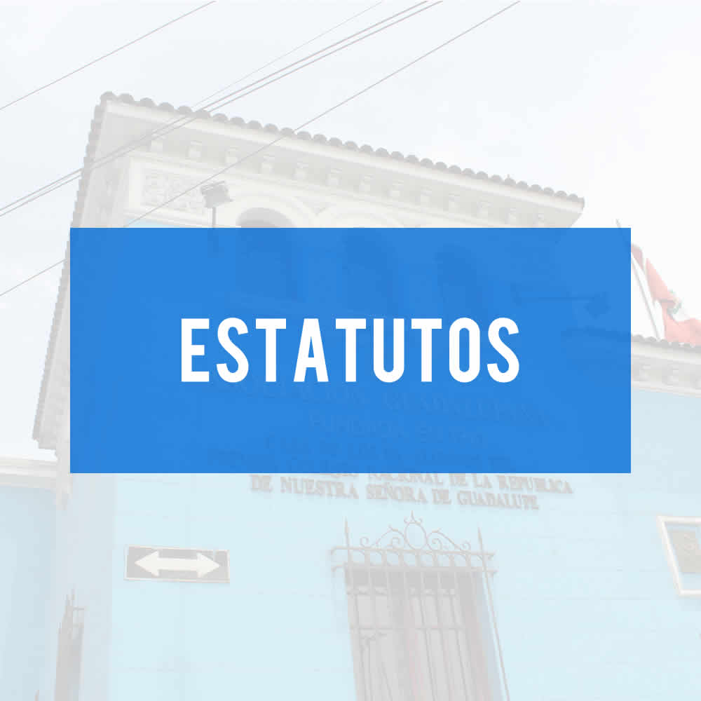 ASOCIACION GUADALUPANA | ESTATUTOS