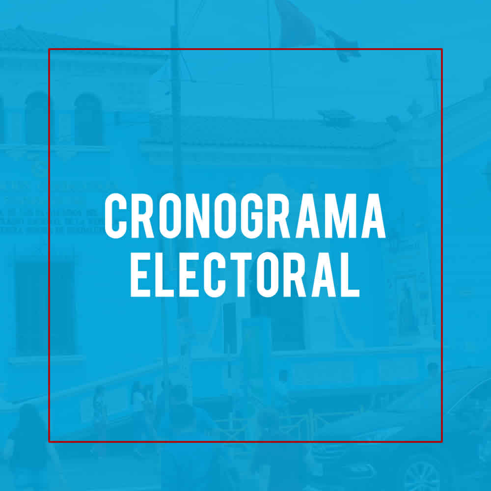 ASOCIACION GUADALUPANA | CRONOGRAMA ELECTORAL