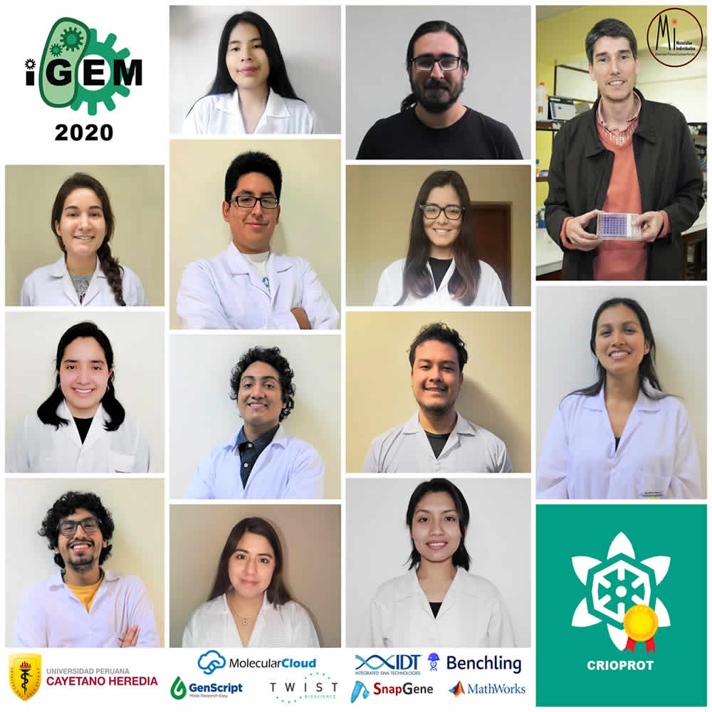 ASOCIACIÓN GUADALUPANA | RUBEN DARÍO VELASQUEZ