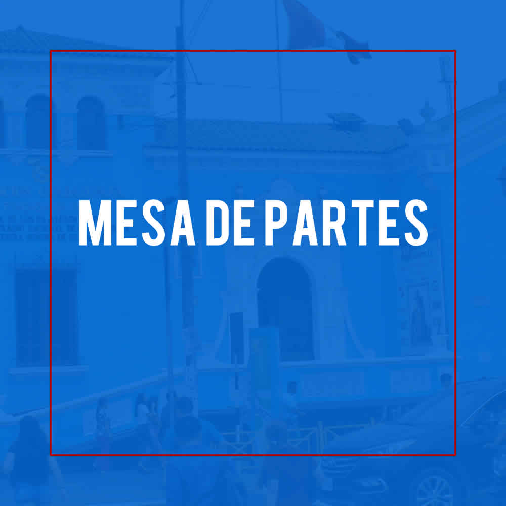 ASOCIACION GUADALUPANA | MESA DE PARTES