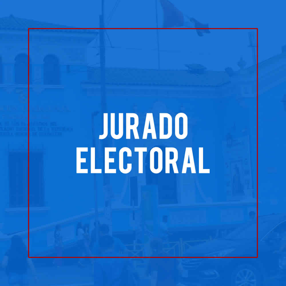 ASOCIACION GUADALUPANA | JURADO ELECTORAL