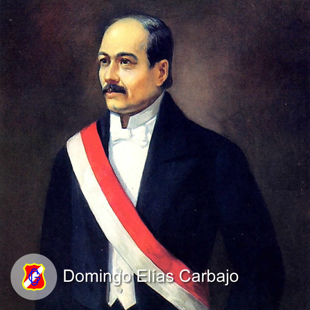 ASOCIACION GUADALUPANA | DOMINGO ELIAS CARBAJO